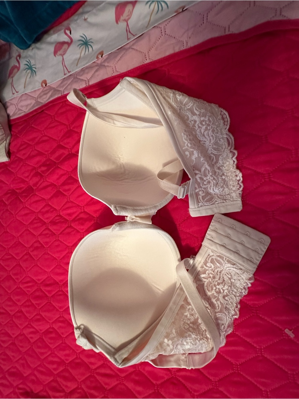 Cacique Cream Lace-Trim Bra with Adjustable Straps - Picture 2 of 3
